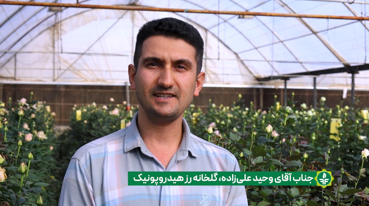 نظر مشتری دوم