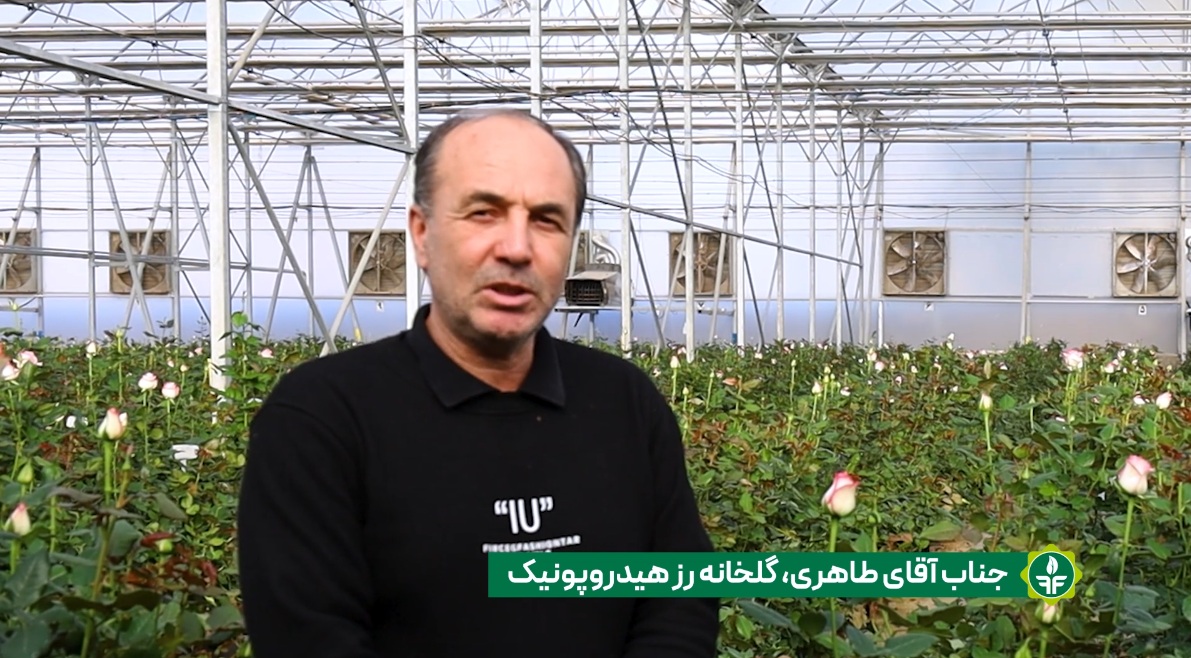 نظر مشتری اول